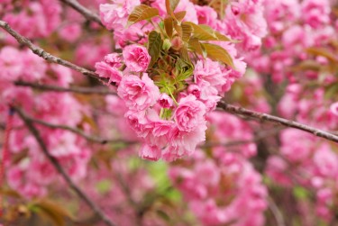 徐州鼓楼区2线下个人借款平台一站式服务，轻松解决资金难题