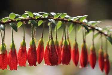 徐州鼓楼区2零用贷短借：轻松解决临时资金需求